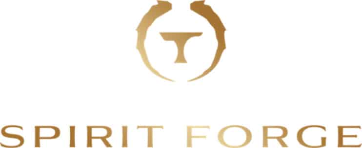 SPIRIT-FORGE 2