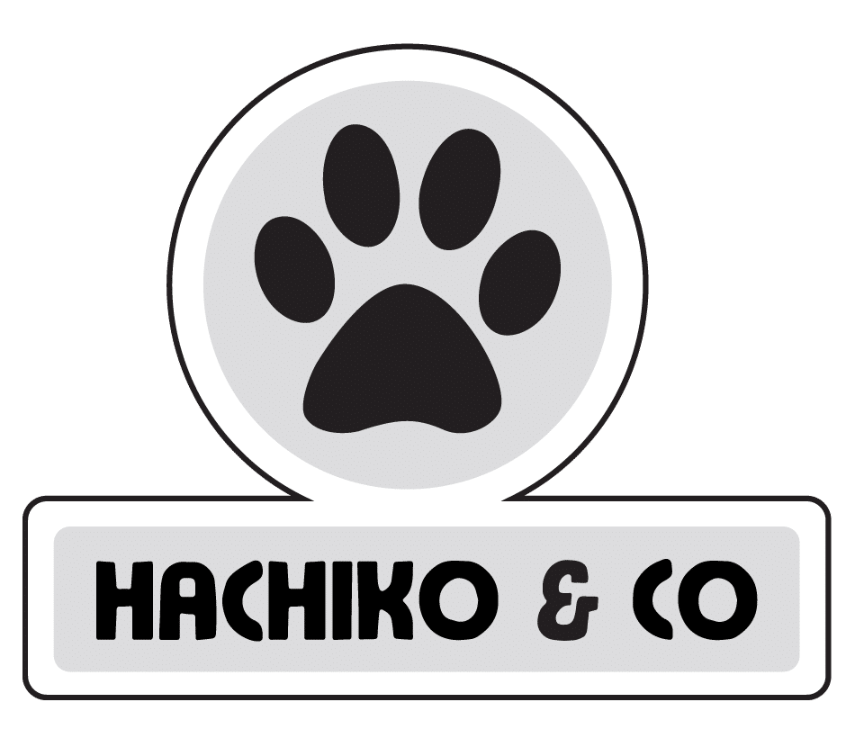 cropped-logo-hachiko-co-white-hd-1-1